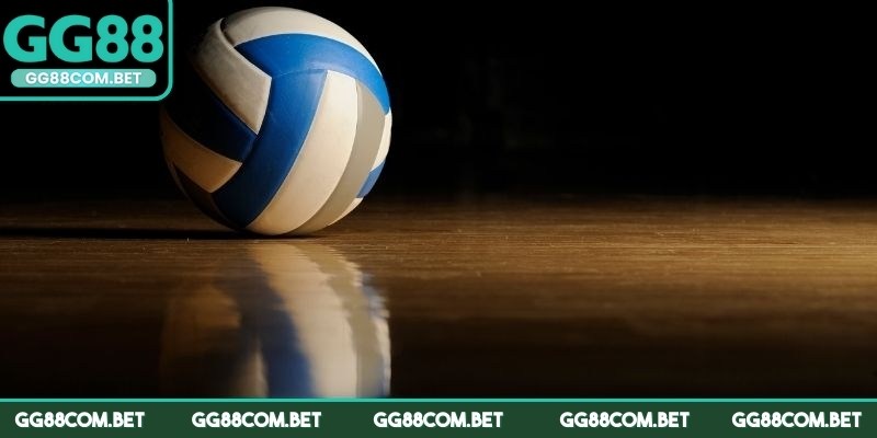Có nhiều giải đấu để mọi người tham gia cá cược bóng chuyền